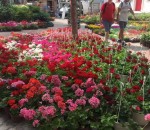 31588494_1865289913763879_7721191136131284992_n